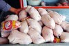 قیمت مرغ 110 هزارتومان را رد کرد | تغییرات قیمت مرغ در آستانه تاسوعا و عاشورا