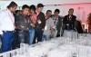 ال‌جی راهکار نسل جدید خودروهای متصل، مبتنی بر ماهواره را در کنفرانس ۲۰۲۵ 5GAA  به نمایش گذاشت