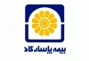 بیمه پاسارگاد بازار بیمه عمر را قبضه کرد