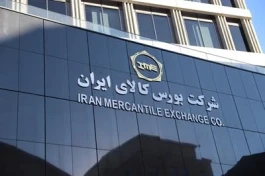 ۵۰۹ هزار تن محصول روی میز فروش می رود