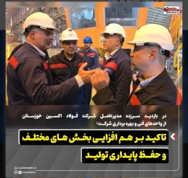 تاکید بر هم افزایی بخش های مختلف و حفظ پایداری تولید